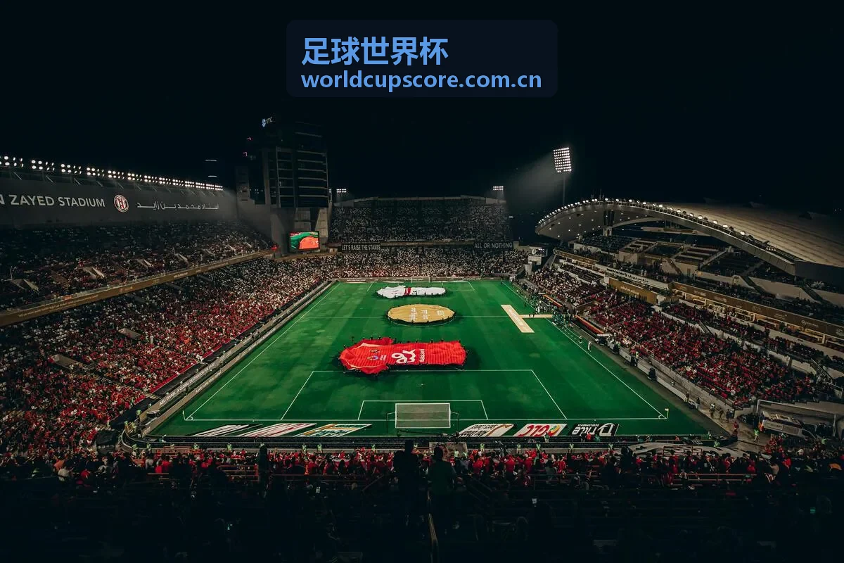 足球世界杯葡萄牙国家队巡礼